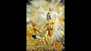 Bhagwat Geeta chapter 2 [upl. by Dorwin]