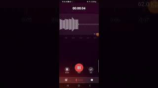 Recording in Voice recorder app [upl. by Dermott]