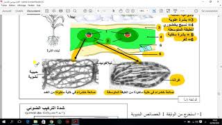 حل الجزء الاول من تمرين التركيب الضوئي عند النباتات رباعية الكربون [upl. by Ruamaj]