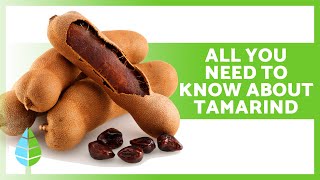 HEALTH BENEFITS OF TAMARIND 🥜✅ Medicinal Properties Usage Tips and Contraindications [upl. by Currie]