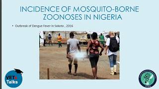 The Mosquito A useful biological tool in the hands of zoonoses in Nigeria [upl. by Nerdna]