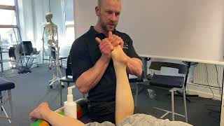 Lower leg massage techniques [upl. by Lia]