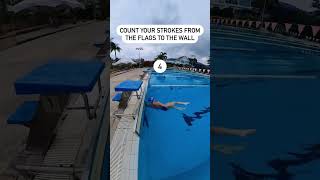 Backstroke Kick Exercise  Back Extension [upl. by Ynolem]