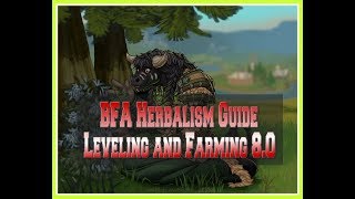 Herbalism BFA Guide  Make One Million Gold in one week [upl. by Giark]