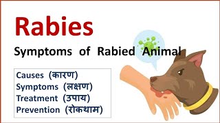 Rabies  Hydrophobia  Causes Symptoms [upl. by Iand149]