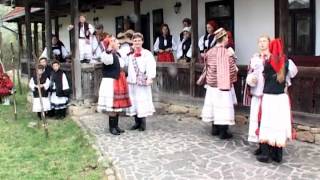 Maria Tripon  Ce mii drag mie pe lume  Romanian folk music from Oaș Country [upl. by Tisbee242]