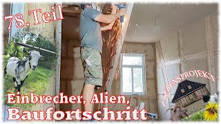 Einbrecher Alien Baufortschritt  78 Projekt Fachwerkhaus [upl. by Nedyaj]