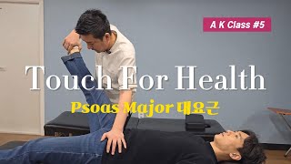 【AK】 Touch for health Kinesiology kidney meridian 대요근 검사 치료 [upl. by Feetal]