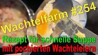 Nudeln und pochierte Wachteleier  Mein Rezept für eine schnelle Suppe  Wachtelfarm 254 [upl. by Nialb]