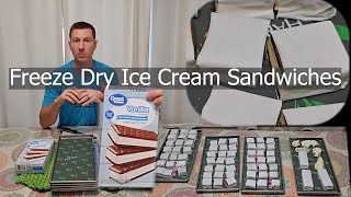 Make Freeze Dried Ice Cream Sandwiches [upl. by Brosy]