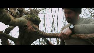 Pollarding and Coppicing with Rick Brookman [upl. by Canale]