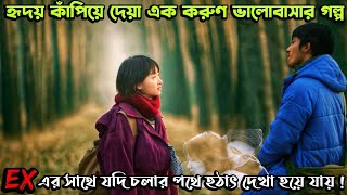 যে ভালোবাসার গল্পে কাঁদবেন আপনিও  Us and Them 2018 Chinese Love Story Movie Explain in Bangla [upl. by Noroj]