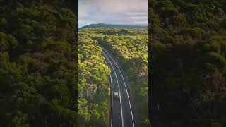 Royal National Park  Drone Fly through dji drive weekend youtube youtubeshorts australia [upl. by Malachy196]