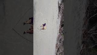 bakkhali prewedding shoot trending photography bakkhali preweddingshoot dronevideo [upl. by Prober]