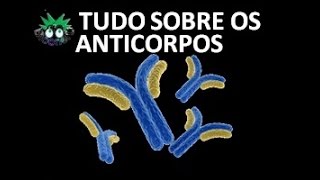 Tudo sobre anticorposTipos estrutura e formas de ação [upl. by Einnij]