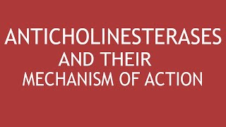 Anticholinesterases and their mechanism of action by DrShikha Parmar [upl. by Ardnuahs]