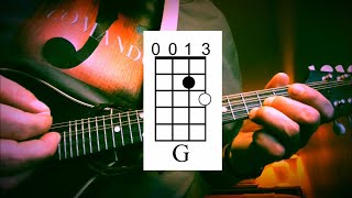 Beginning Mandolin  Day 1 Your First Chords Progression and Strum Pattern [upl. by Asim]