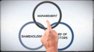 Corp 101 The Basics of Corporate Structure [upl. by Colpin]