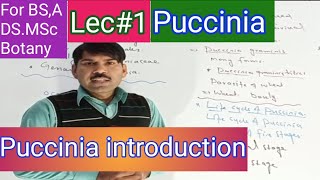 Introduction to puccinia [upl. by Karisa]