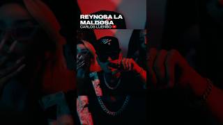 REYNOSA LA MALDOSA 2 🔥🇲🇽🎶 [upl. by Nnair]