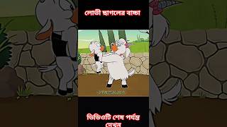 লোভী ছাগলের বাচ্চা 🐶🐶😋 cartonvideo carton tom jerry [upl. by Akenahs805]