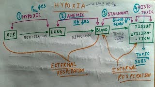 Hypoxia  Hypoxic Anemic Stagnant Histotoxic Hypoxia  Amazing Concept  TCML [upl. by Odele]