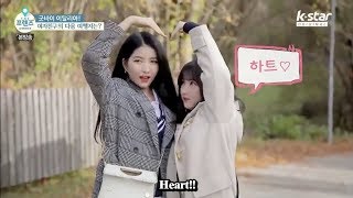 여자친구 GFRIEND  Sowon 소원 amp Eunha 은하  Wonha Compilation 3 [upl. by Neeli]