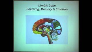 The Neuroscience of Learning and Memory [upl. by Ogir]