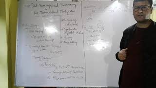 lecture 16 Post transcriptional modifications introns and exons [upl. by Anigue]