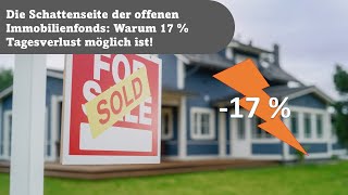 Die Schattenseite der offenen Immobilienfonds Warum 17  Tagesverlust möglich ist [upl. by Haynor732]