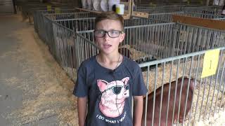 TIPPECANOE COUNTY FAIR PREVIEW [upl. by Neehcas]