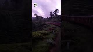 Night Mail Train with 2 Pilot Locomotives 😍 shorts train travel vlog srilanka trainloon [upl. by Hammock]