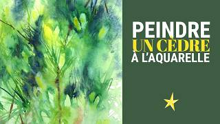 Peindre un cèdre à laquarelle  MOYEN [upl. by Litta]