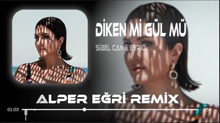 Sibel Can amp Eypio  Diken Mi Gül Mü  Alper Eğri Remix [upl. by Raimundo]