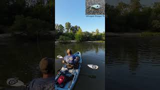 Smallmouth Bass on Crooked Creek  Kayak Fishing  Bonafide RVR 119  Nature [upl. by Hceicjow]