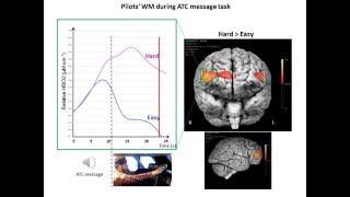 Pilots working memory with fNIRS [upl. by Elle394]