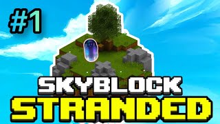 Hypixel Skyblock But You Cant Leave Your Island  Hypixel Skyblock  Stranded  Part 1 [upl. by Nadabus]