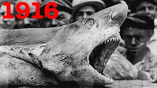 Americas First Shark Attacks Jersey Shore 1916 [upl. by Anaibaf603]