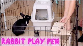 How To Set Up A Rabbit Play Pen [upl. by Eimaraj]