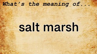 Salt Marsh Meaning  Definition of Salt Marsh [upl. by Porche718]