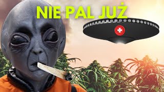 NIE PAL JUŻ [upl. by Morez51]