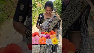 Hibiscuses harvesting in my garden hibiscus mygarden gardening shortvideo ytshorts flowers [upl. by Aisital]