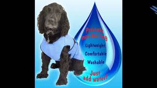 ThermLOW Dog Cooling Coat [upl. by Aitetel452]