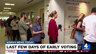 Early voters see varied wait times in Davidson County [upl. by Oakleil665]