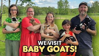 Too cute We visit baby goats at Kismet Creek Farm [upl. by Morril479]