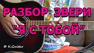 Как играть Звери – Я с тобой Разбор [upl. by Lombardo597]