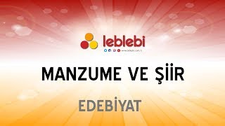 EDEBİYAT  MANZUME VE ŞİİR [upl. by Steward]