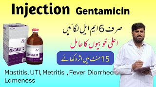 Injection جینٹا مائی سین  Gentamicin Use In Mastitis Metritis Pneumonia Diarrhea  Gentafar [upl. by Anileba]