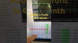 Forex Robot Trading Profit in One Month Trading forexrobot forexea forexautomatedtrading forex [upl. by Nogem]