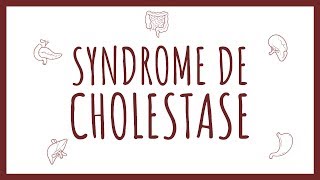 Sémiologie Hépatique  Syndrome de Cholestase [upl. by Rosaleen]